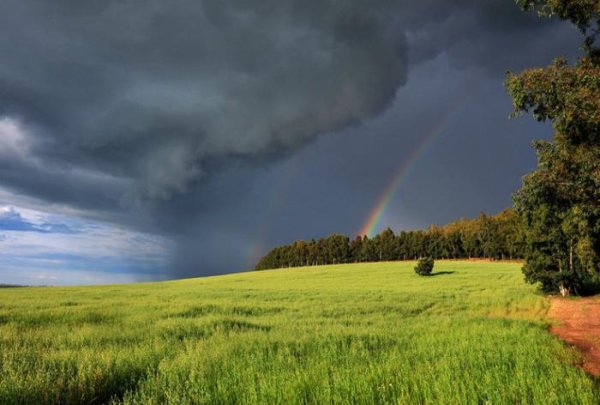 Весенняя гроза