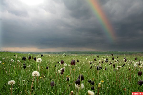 Грозовое предупреждение