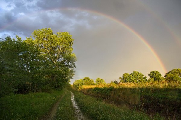 Весенняя гроза