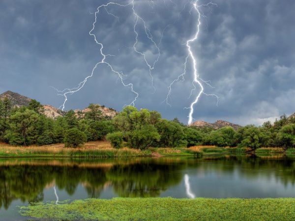 Весенний сад под дождем