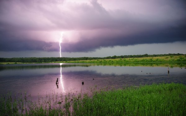 Летняя гроза в лесу