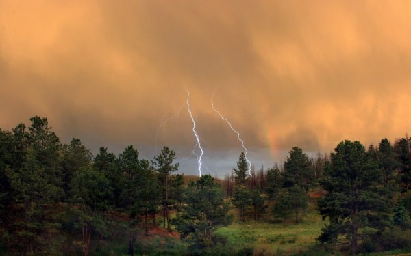 Дождь и молния