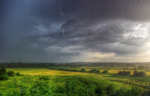 Природа после грозы