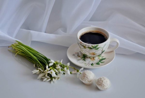 Кофе и цветы