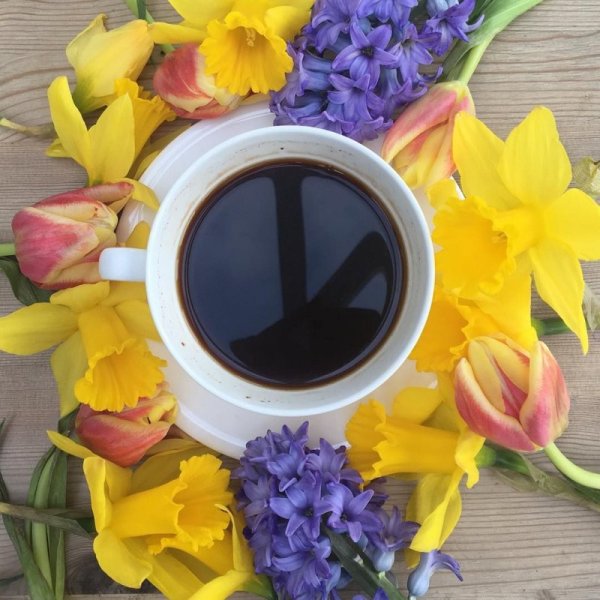 Композиция с чашкой кофе