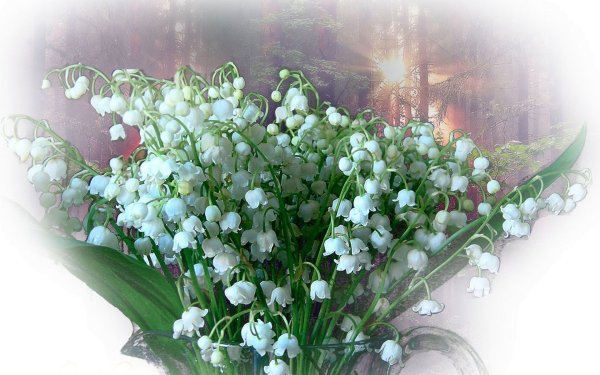 Весенний букет в корзинке