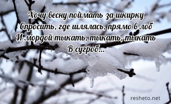 Приколы про весну