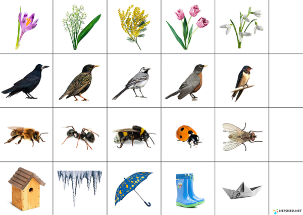Птицы весной задания для дошкольников