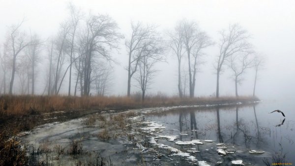 Утренний туман