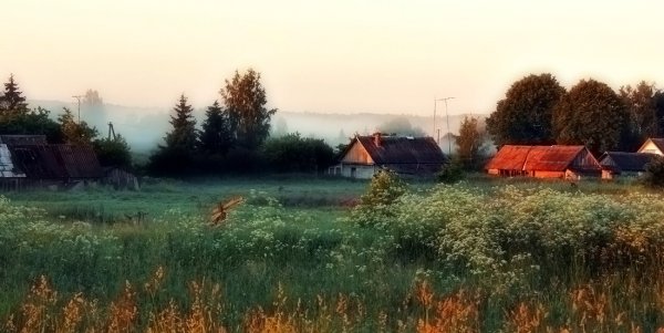 Пейзаж утро в деревне