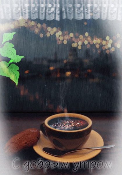 Доброе дождливое у то РО