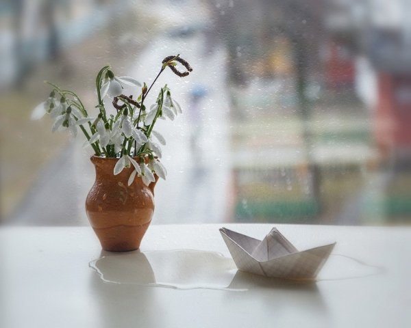 Осень дождь чай