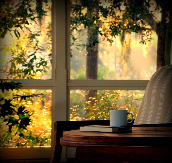 Дождливое утро