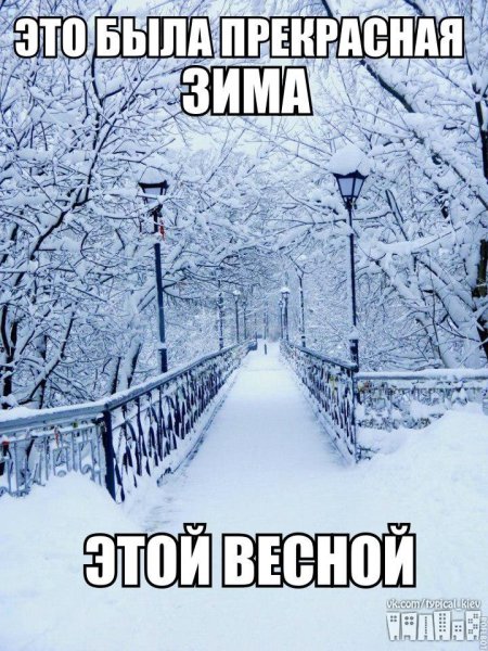 Отличная зима выдалась этой весной