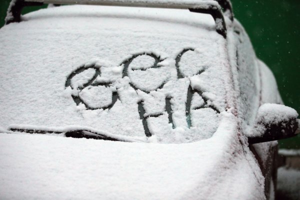 Кот зимой