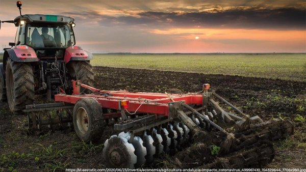 Тракторист вспахивает поле