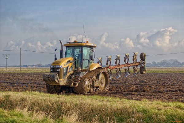 Тракторист в поле