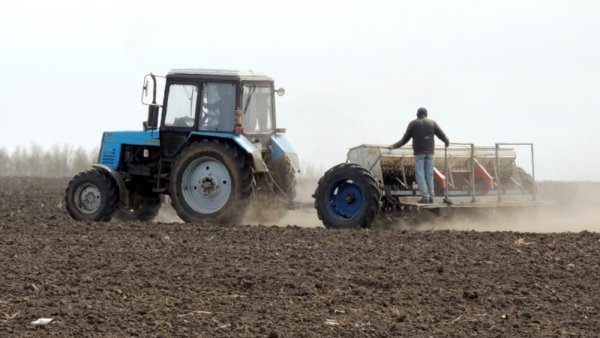 Трактор в поле сеет