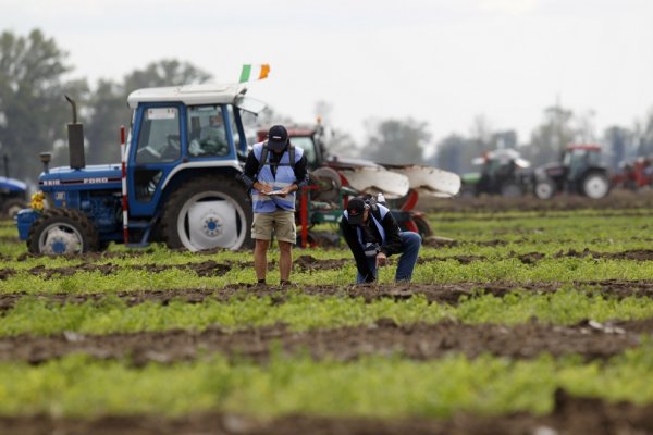 Труд в сельском хозяйстве