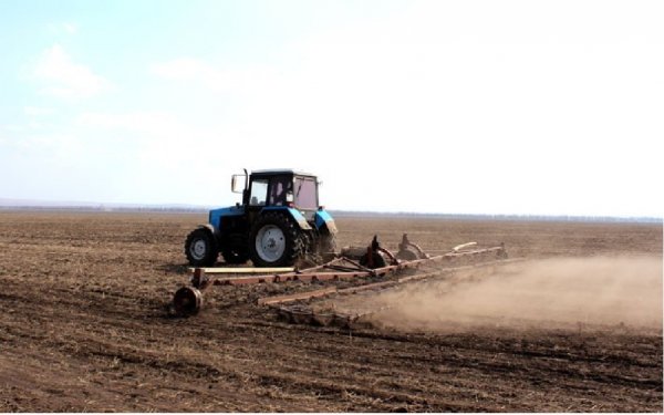 Боронование зяби