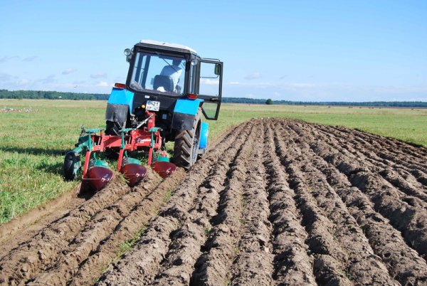 Трактор пашет