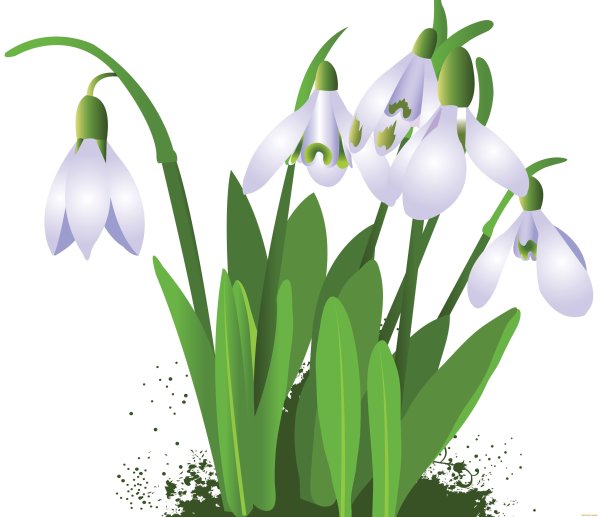 Подснежники мультяшные