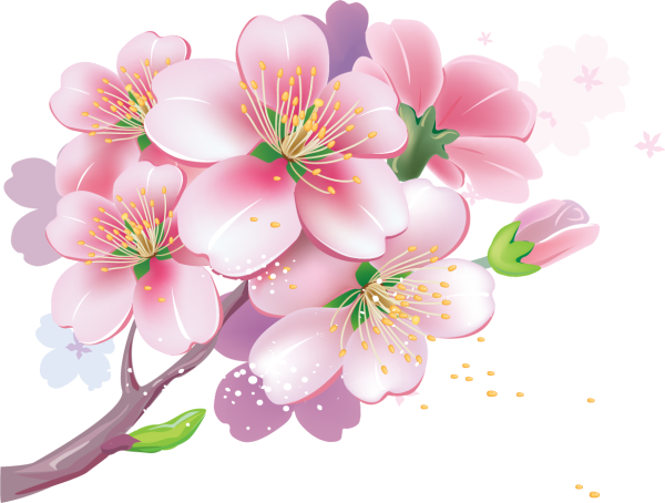 Незабудка сбоку