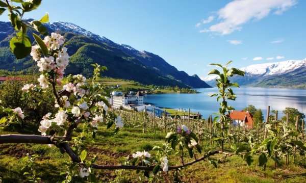 Фьорд Хардангер Норвегия