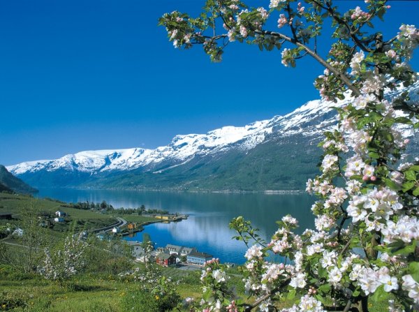 Хардангер-Фьорд сады