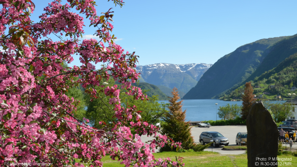 Фьорды Шотландии