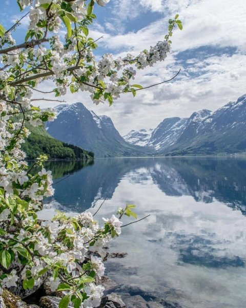 Швейцария фьорды