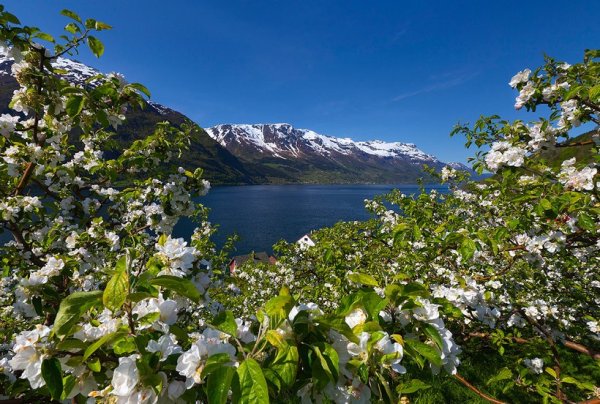 Весна в Норвегии