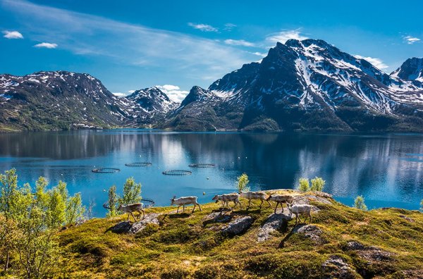 Согнефьорд Норвегия Весна