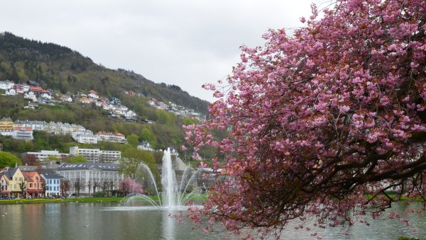 Бугейфьерд Норвегия весной