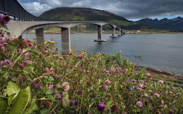 Лофотенские острова Весна