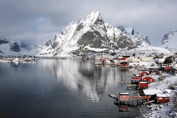 Растительность альпийского пояса Норвегии
