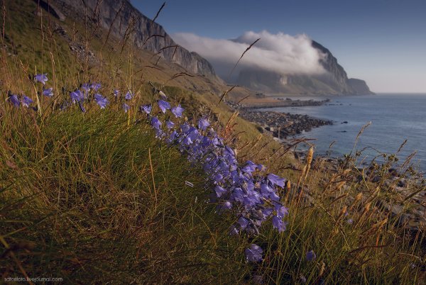 Хутор в Норвегии