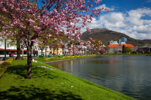 Косунда Норвегия