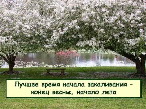 Конец весны начало лета