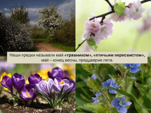Конец весны