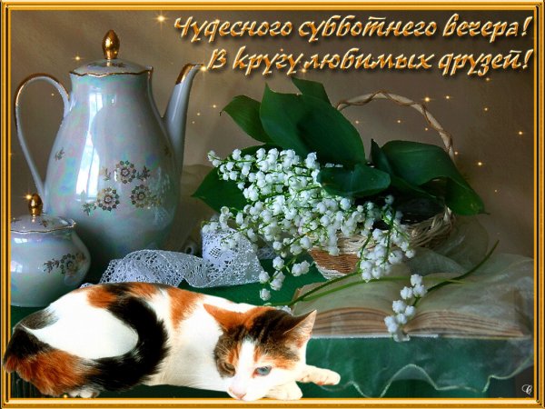 Добрый вечер друзья