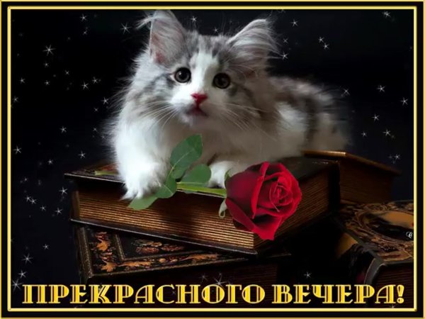Добрый вечер воскресенья