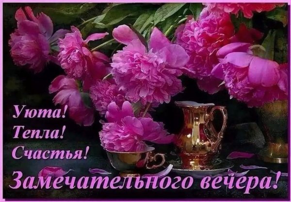 Уютного вечера с цветами