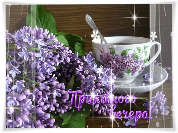 Доброй весенней ночи