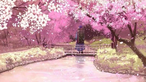 Alphonse White Datura