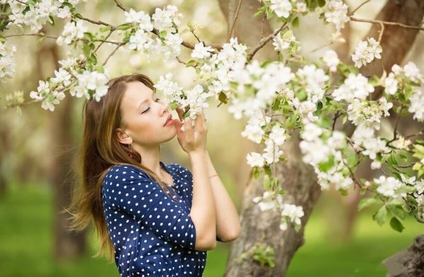 Весна Яблоневый цвет девушка