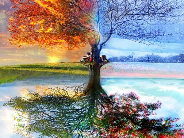 Вивальди четыре времени года