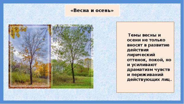 Времена года 4 сезона