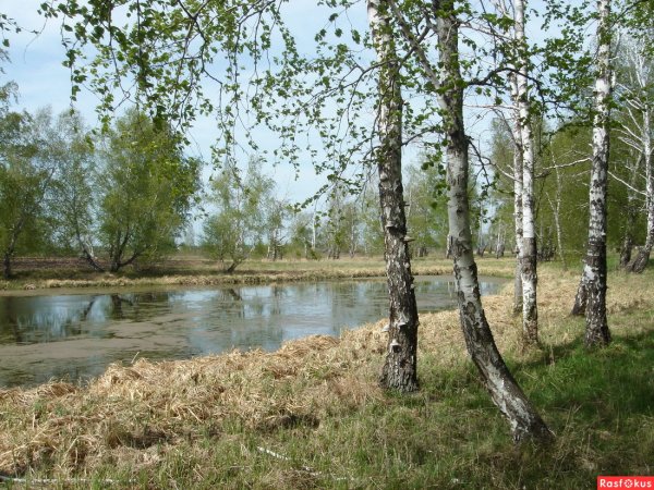 Природа Урала Весна