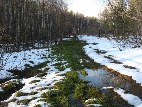 Ранняя Весна на Урале